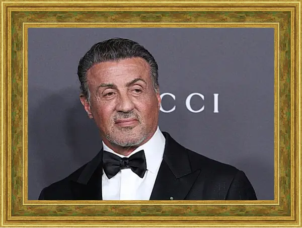 Картина в раме - Сильвестр Сталлоне. Sylvester Stallone Картина в раме - Сильвестр Сталлоне. Sylvester Stallone