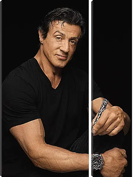 Модульная картина - Сильвестр Сталлоне. Sylvester Stallone Модульная картина - Сильвестр Сталлоне. Sylvester Stallone