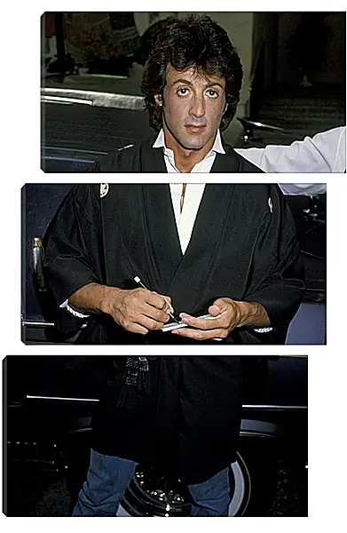 Модульная картина - Сильвестр Сталлоне. Sylvester Stallone Модульная картина - Сильвестр Сталлоне. Sylvester Stallone