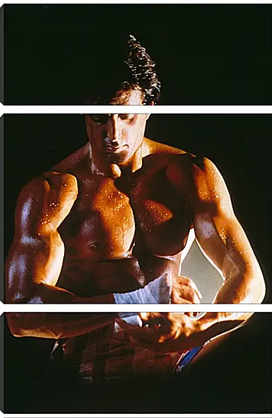 Модульная картина - Сильвестр Сталлоне. Sylvester Stallone Модульная картина - Сильвестр Сталлоне. Sylvester Stallone