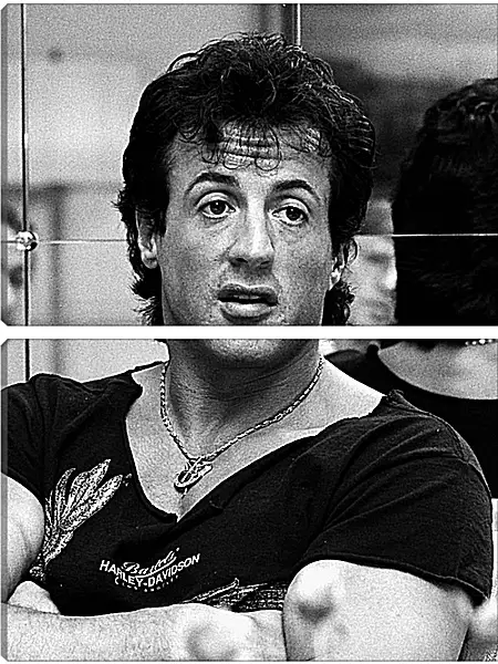 Модульная картина - Сильвестр Сталлоне. Sylvester Stallone Модульная картина - Сильвестр Сталлоне. Sylvester Stallone