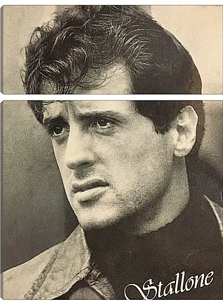 Модульная картина - Сильвестр Сталлоне. Sylvester Stallone Модульная картина - Сильвестр Сталлоне. Sylvester Stallone