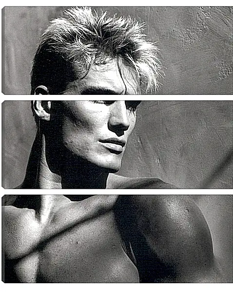 Модульная картина - Дольф Лундгрен. Dolph Lundgren Модульная картина - Дольф Лундгрен. Dolph Lundgren