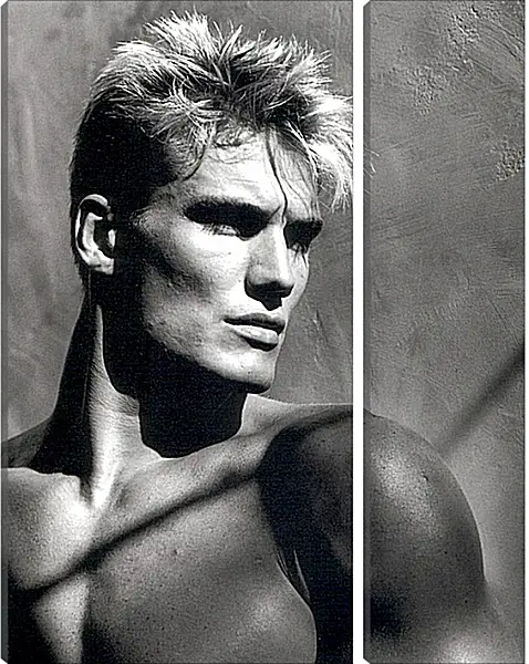 Модульная картина - Дольф Лундгрен. Dolph Lundgren Модульная картина - Дольф Лундгрен. Dolph Lundgren