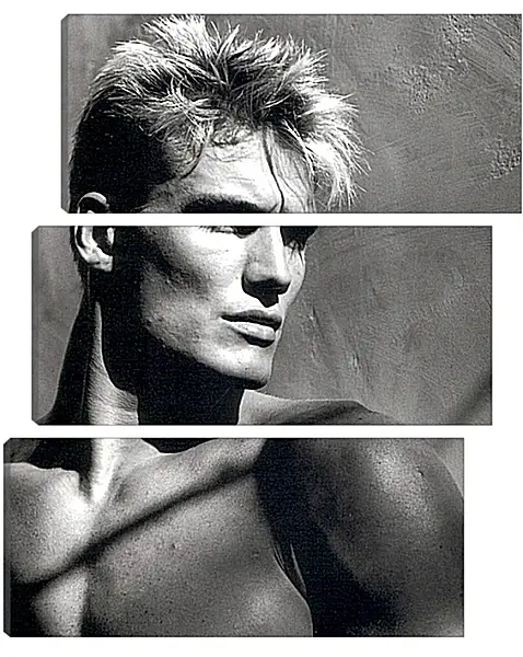Модульная картина - Дольф Лундгрен. Dolph Lundgren Модульная картина - Дольф Лундгрен. Dolph Lundgren