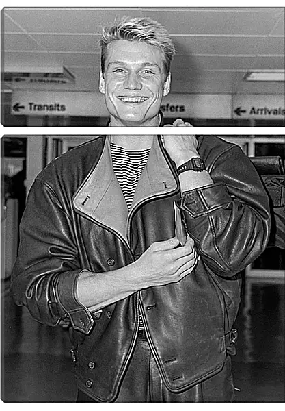 Модульная картина - Дольф Лундгрен. Dolph Lundgren Модульная картина - Дольф Лундгрен. Dolph Lundgren