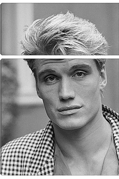 Модульная картина - Дольф Лундгрен. Dolph Lundgren Модульная картина - Дольф Лундгрен. Dolph Lundgren
