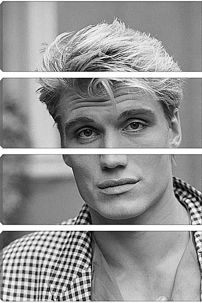 Модульная картина - Дольф Лундгрен. Dolph Lundgren Модульная картина - Дольф Лундгрен. Dolph Lundgren