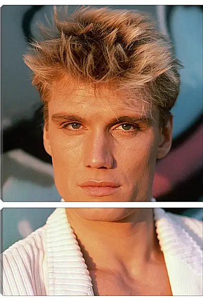 Модульная картина - Дольф Лундгрен. Dolph Lundgren Модульная картина - Дольф Лундгрен. Dolph Lundgren