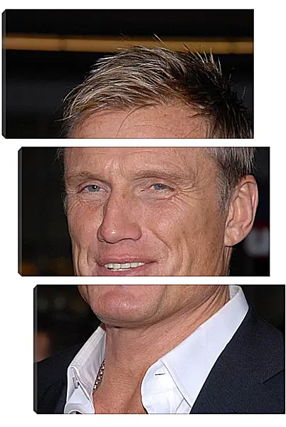 Модульная картина - Дольф Лундгрен. Dolph Lundgren Модульная картина - Дольф Лундгрен. Dolph Lundgren