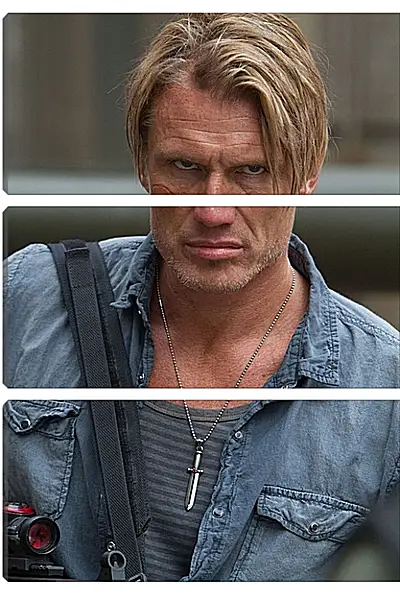 Модульная картина - Дольф Лундгрен. Dolph Lundgren Модульная картина - Дольф Лундгрен. Dolph Lundgren