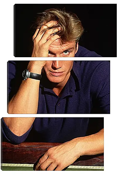 Модульная картина - Дольф Лундгрен. Dolph Lundgren Модульная картина - Дольф Лундгрен. Dolph Lundgren
