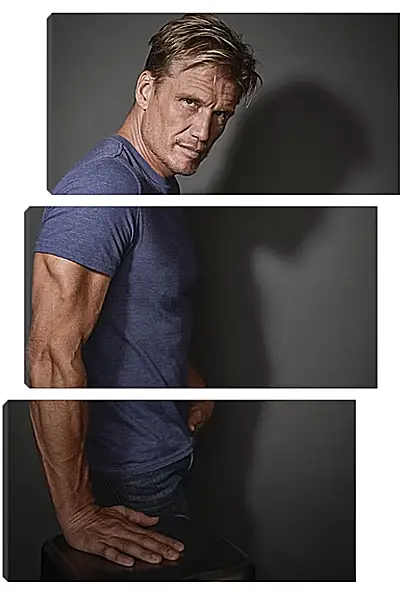 Модульная картина - Дольф Лундгрен. Dolph Lundgren Модульная картина - Дольф Лундгрен. Dolph Lundgren