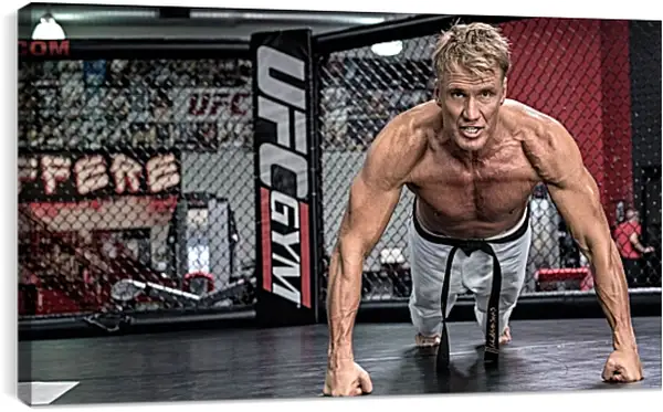 Постер на подрамнике - Дольф Лундгрен. Dolph Lundgren Постер на подрамнике - Дольф Лундгрен. Dolph Lundgren