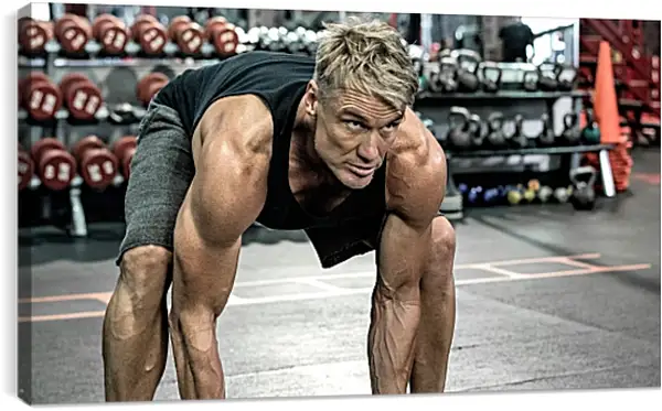 Постер на подрамнике - Дольф Лундгрен. Dolph Lundgren Постер на подрамнике - Дольф Лундгрен. Dolph Lundgren