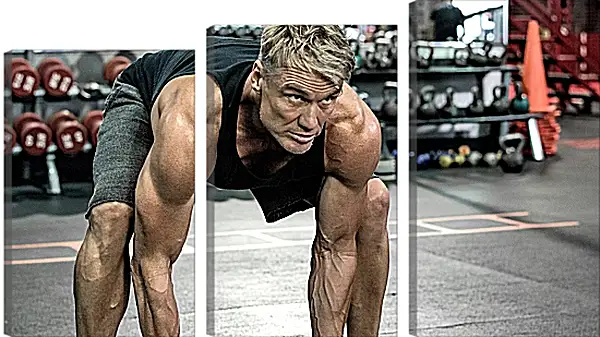 Модульная картина - Дольф Лундгрен. Dolph Lundgren Модульная картина - Дольф Лундгрен. Dolph Lundgren