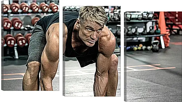 Модульная картина - Дольф Лундгрен. Dolph Lundgren Модульная картина - Дольф Лундгрен. Dolph Lundgren