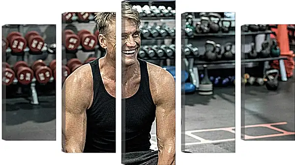 Модульная картина - Дольф Лундгрен. Dolph Lundgren Модульная картина - Дольф Лундгрен. Dolph Lundgren