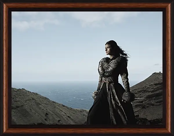 Картина в раме - Ведьмак. The Witcher Картина в раме - Ведьмак. The Witcher