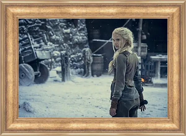 Картина в раме - Ведьмак. The Witcher Картина в раме - Ведьмак. The Witcher
