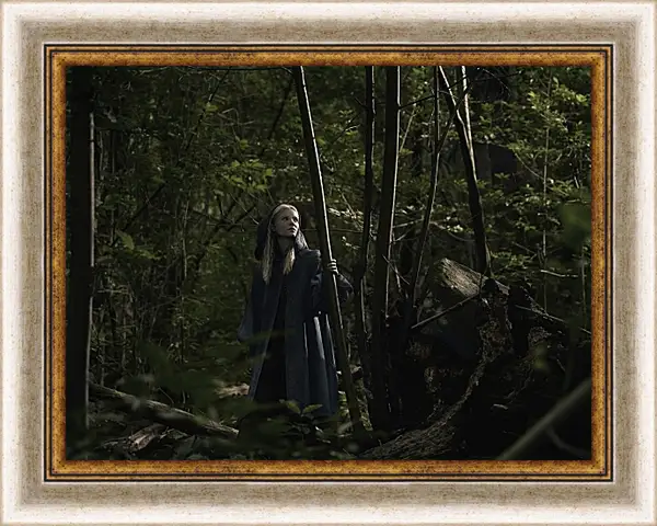 Картина в раме - Ведьмак. The Witcher Картина в раме - Ведьмак. The Witcher