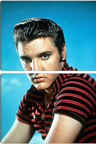 Модульная картина - Элвис Пресли. Elvis Presley Модульная картина - Элвис Пресли. Elvis Presley