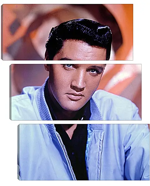 Модульная картина - Элвис Пресли. Elvis Presley Модульная картина - Элвис Пресли. Elvis Presley