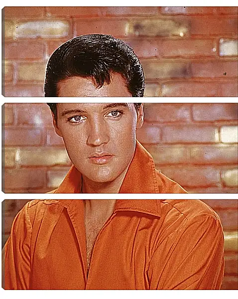 Модульная картина - Элвис Пресли. Elvis Presley Модульная картина - Элвис Пресли. Elvis Presley