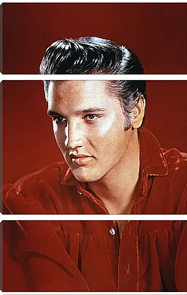 Модульная картина - Элвис Пресли. Elvis Presley Модульная картина - Элвис Пресли. Elvis Presley