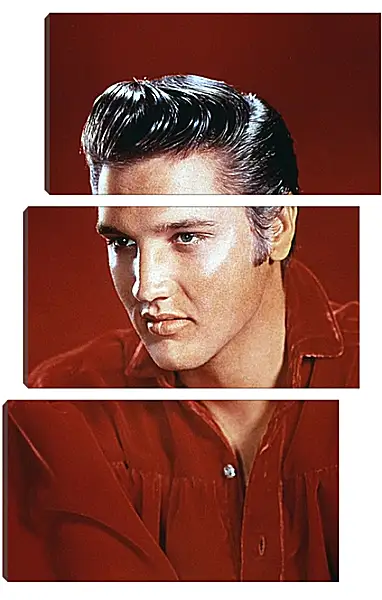 Модульная картина - Элвис Пресли. Elvis Presley Модульная картина - Элвис Пресли. Elvis Presley