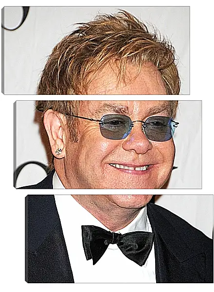 Модульная картина - Элтон Джон. Elton John Модульная картина - Элтон Джон. Elton John