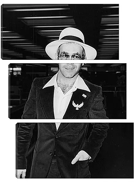 Модульная картина - Элтон Джон. Elton John Модульная картина - Элтон Джон. Elton John