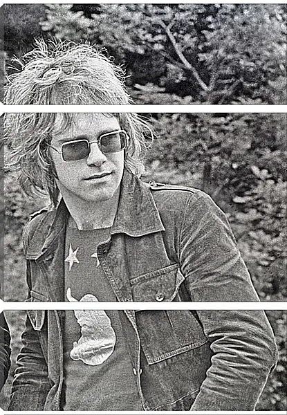 Модульная картина - Элтон Джон. Elton John Модульная картина - Элтон Джон. Elton John