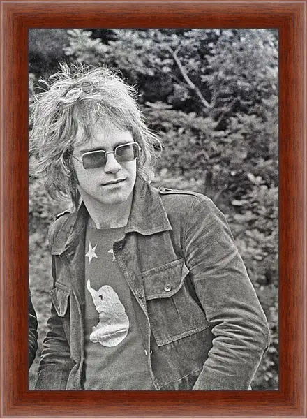 Картина в раме - Элтон Джон. Elton John Картина в раме - Элтон Джон. Elton John