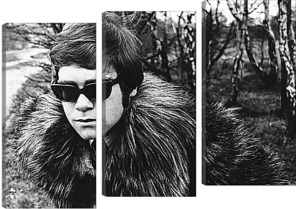 Модульная картина - Элтон Джон. Elton John Модульная картина - Элтон Джон. Elton John