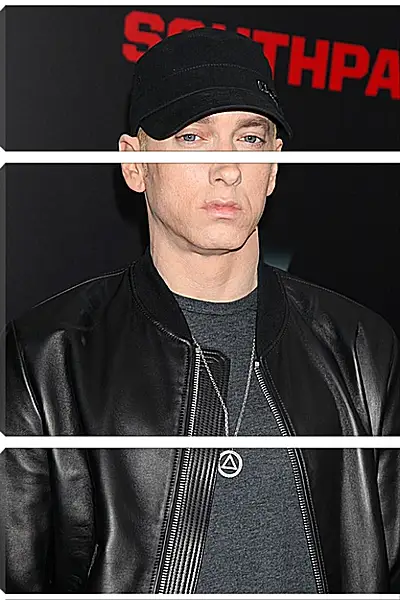 Модульная картина - Эминем. Eminem Модульная картина - Эминем. Eminem