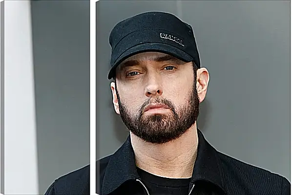 Модульная картина - Эминем. Eminem Модульная картина - Эминем. Eminem