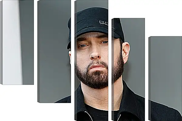 Модульная картина - Эминем. Eminem Модульная картина - Эминем. Eminem