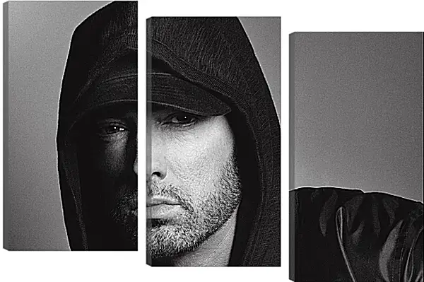 Модульная картина - Эминем. Eminem Модульная картина - Эминем. Eminem