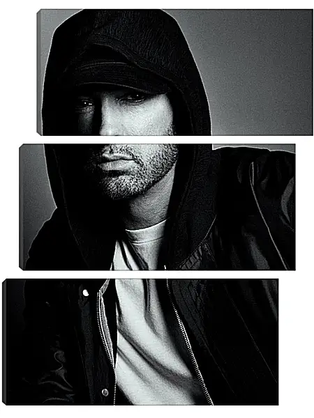 Модульная картина - Эминем. Eminem Модульная картина - Эминем. Eminem
