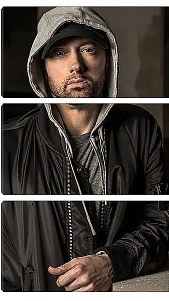 Модульная картина - Эминем. Eminem Модульная картина - Эминем. Eminem