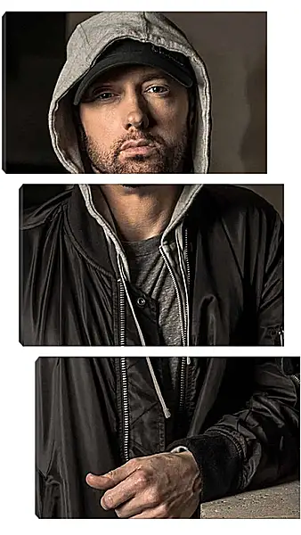 Модульная картина - Эминем. Eminem Модульная картина - Эминем. Eminem