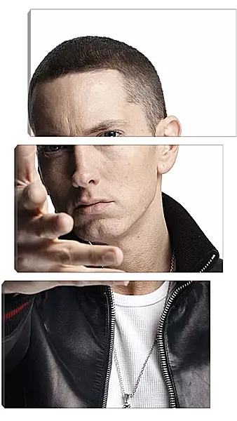Модульная картина - Эминем. Eminem Модульная картина - Эминем. Eminem