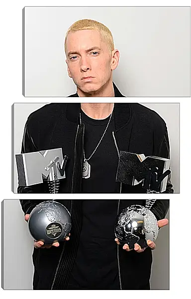 Модульная картина - Эминем. Eminem Модульная картина - Эминем. Eminem