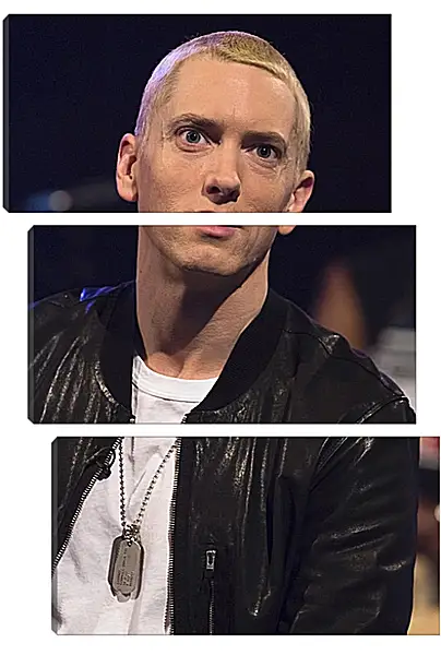 Модульная картина - Эминем. Eminem Модульная картина - Эминем. Eminem