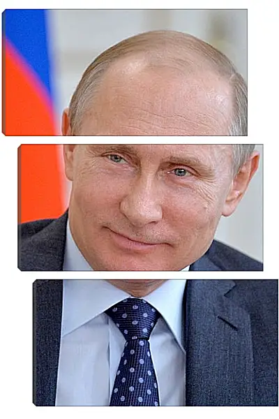 Модульная картина - Владимир Владимирович Путин Модульная картина - Владимир Владимирович Путин