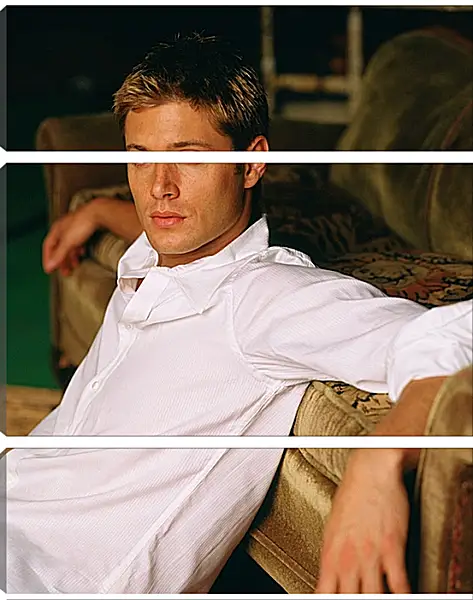 Модульная картина - Дженсен Эклс. Jensen Ackles Модульная картина - Дженсен Эклс. Jensen Ackles