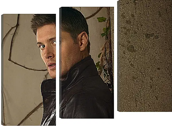 Модульная картина - Дженсен Эклс. Jensen Ackles Модульная картина - Дженсен Эклс. Jensen Ackles