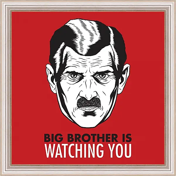Картина в раме - Большой брат следит за тобой. Big brother is watching you Картина в раме - Большой брат следит за тобой. Big brother is watching you