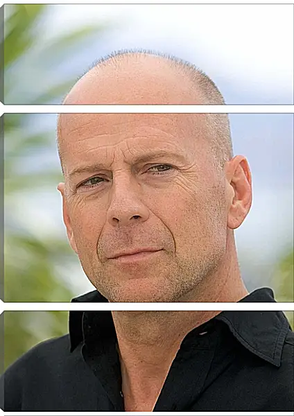 Модульная картина - Брюс Уиллис. Bruce Willis Модульная картина - Брюс Уиллис. Bruce Willis